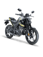 RKS RZ 125 Siyah - Yeşil