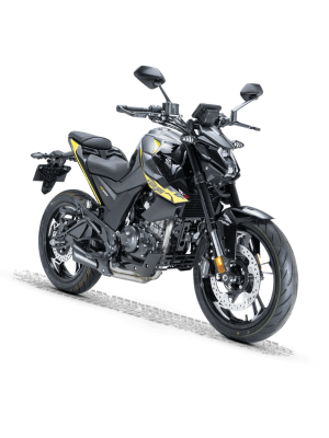 RKS RZ 125 Siyah - Yeşil