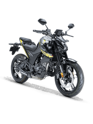 RKS RZ 125 Siyah - Yeşil