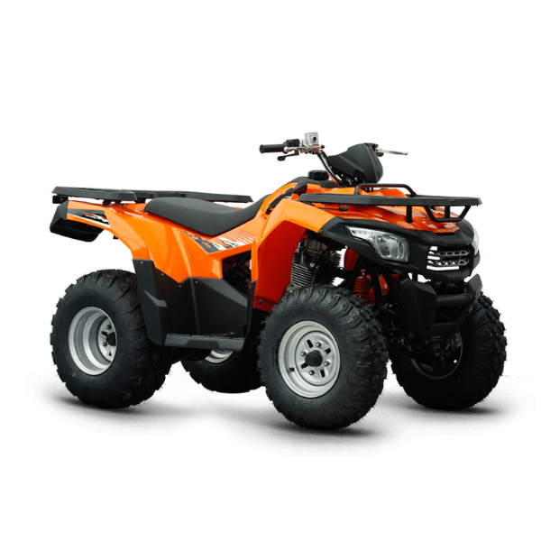 LONCIN VIP TRACK 250 PRO
