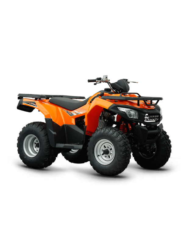LONCIN VIP TRACK 250 PRO