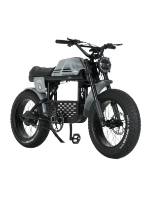 Ape Ryder Gibbon Kalın Teker Elektrikli Bisiklet Gri