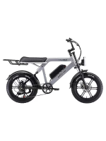 Ape Ryder Colobus Kalın Teker Elektrikli Bisiklet Gri