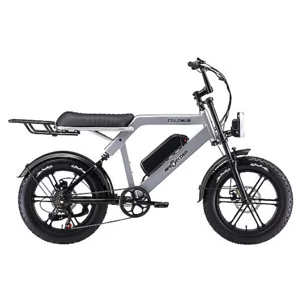 Ape Ryder Colobus Kalın Teker Elektrikli Bisiklet Gri