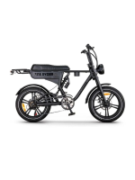 Ape Ryder DC 20 Kalın Teker Elektrikli Bisiklet Siyah