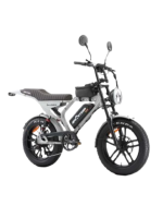 Ape Ryder Genon Ultra Kalın Teker Elektrikli Bisiklet Gri