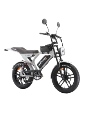 Ape Ryder Genon Ultra Kalın Teker Elektrikli Bisiklet Gri